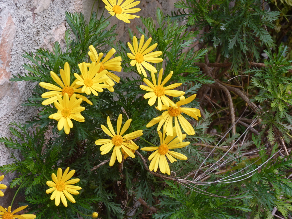 No s'ha trobat l'arxiu